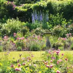 Ecco come abbellire il giardino a Novembre