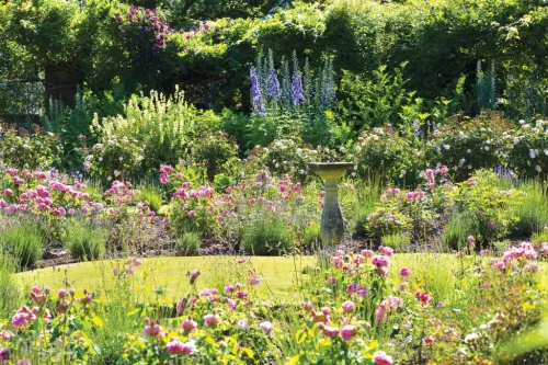 Come preparare un giardino all'estate