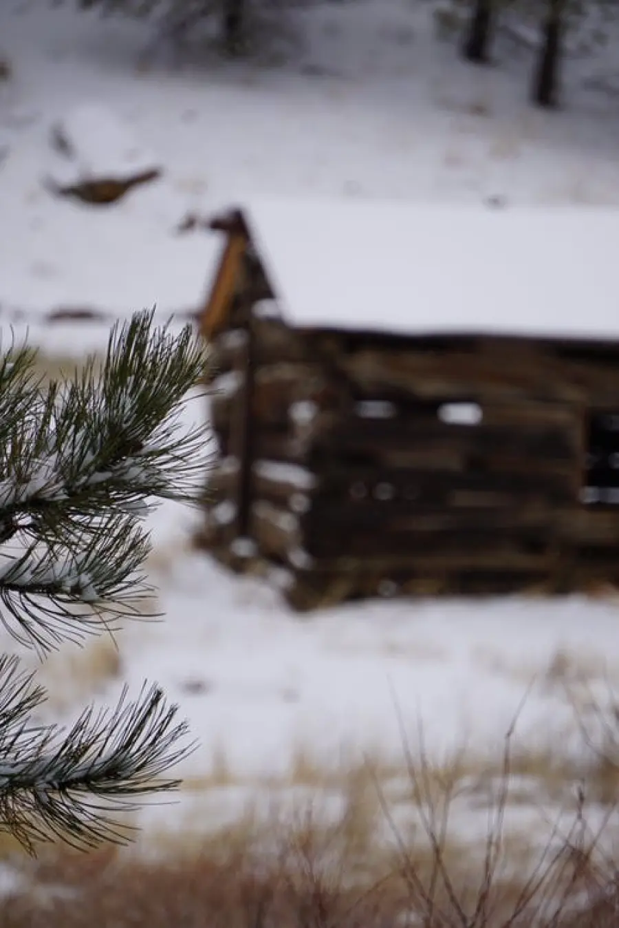 Un box casetta in legno per il giardino