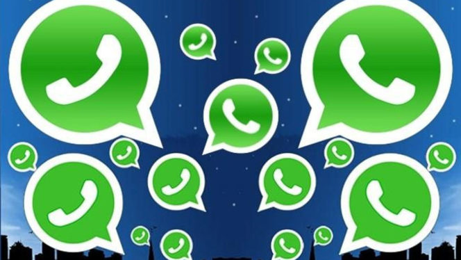 Whatsapp, in arrivo una novità per chiamate e videochiamate?
